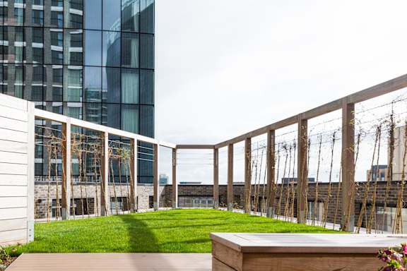 a grassy area on the roof of a building