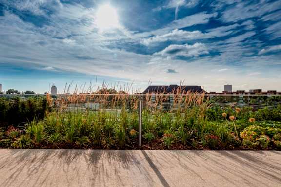 a rooftop garden with a view of the city