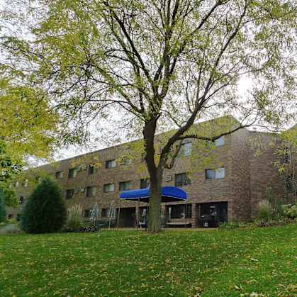 A tree with green leaves is in front of a building.