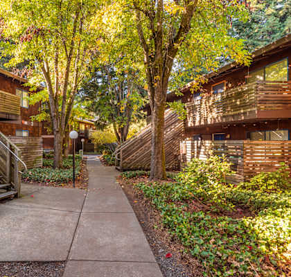 Backyard Garden at Coddingtown Mall Apartments, Santa Rosa, CA