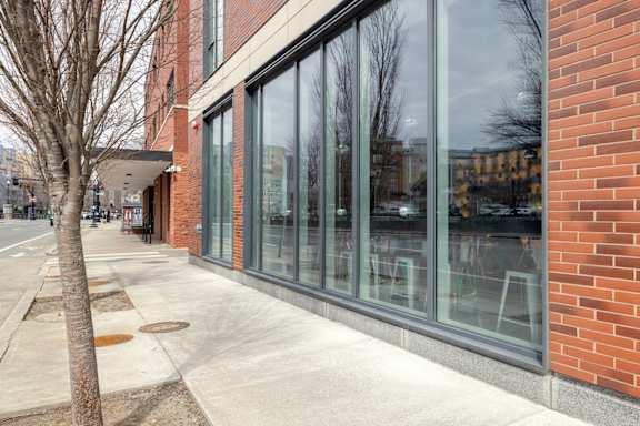 A tree is on the sidewalk next to a building with large windows.