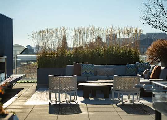 Courtyard Lounge Area and Fire Pit at Infinity Apartments in Seattle WA