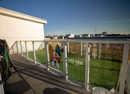 Fenced dog park at Infinity Apartments in Seattle WA