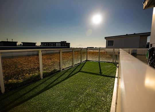 Dog park at Infinity Apartments in Seattle WA