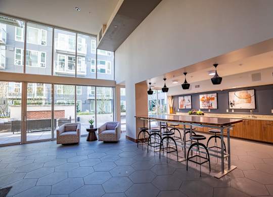 Social Lounge and Kitchen at Infinity Apartments in Seattle WA