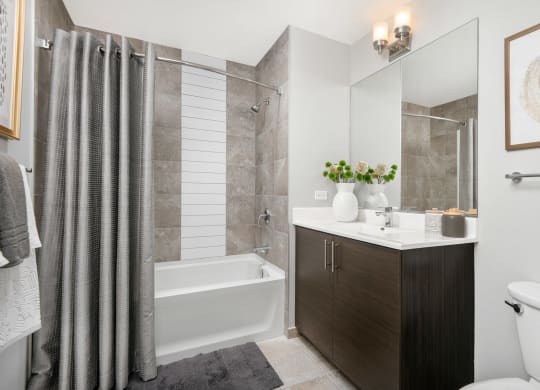 West-Loop-Chicago-Apartments-The Madison at Racine-Interior-Bathroom at The Madison at Racine, Chicago, IL