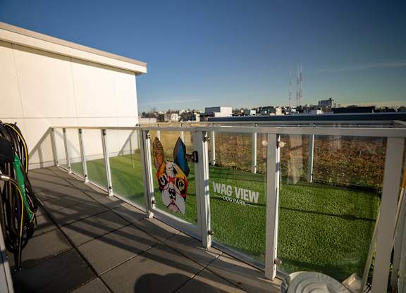 Fenced dog park at Infinity Apartments in Seattle WA