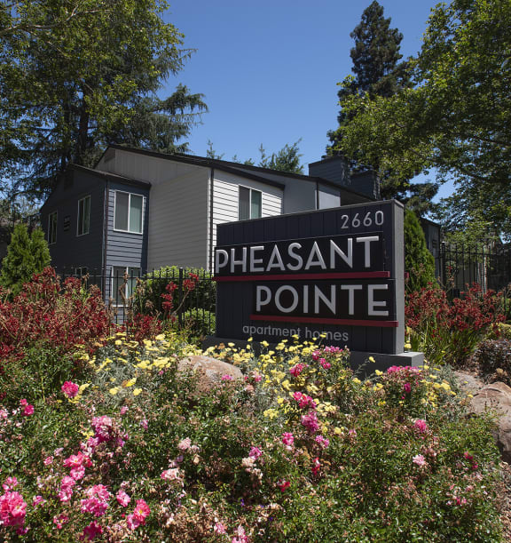 Pheasant Pointe apartments entryway monument sign