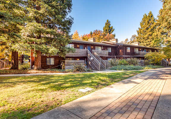 Exterior Landscape at Coddingtown Mall Apartments, Santa Rosa