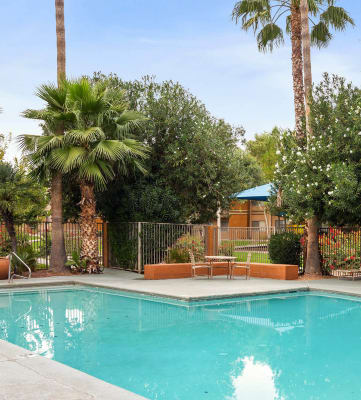Swimming pool at San Mateo apartments in Tucson, AZ