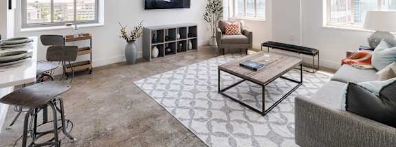 A living room with a grey couch, a coffee table, and a television.