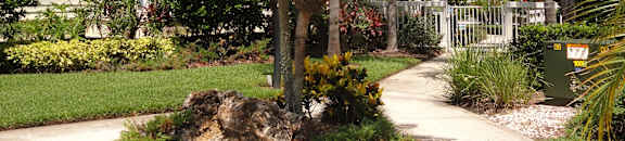 Exterior view at  Bridgewater Apartments, Florida 33716