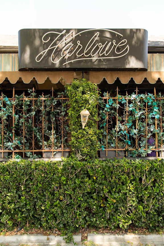 A sign that says "Fallow" is above a wall of green plants.