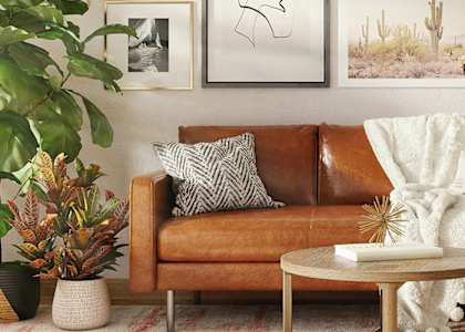 A living room with a brown couch, a white coffee table, and a green plant.