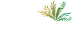 The image features the name "Adiamo" in cursive script, followed by the words "Palm Valley" in a smaller font, with a stylized illustration of palm leaves and flowers to the right.
