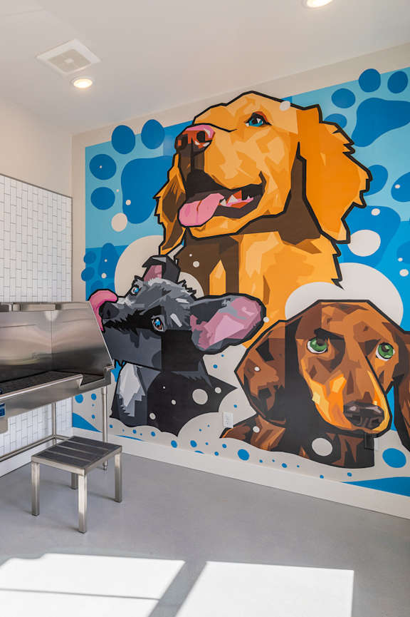 Pet Spa at Arbour Place Apartments, Jeffersonville, IN