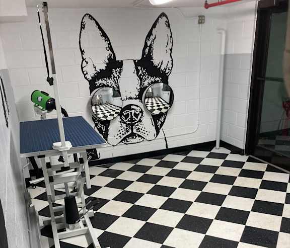 2555 N Clark St Dog Wash Station