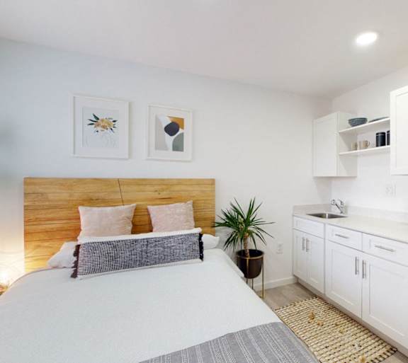 A bedroom with a bed, a hanging plant, and a kitchen area with a microwave on top of the fridge.
