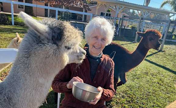 A woman is feeding a llama with a bowl.
