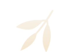 Two leaves are shown in a tan color. at Society 62 Apartments, Portland, Oregon