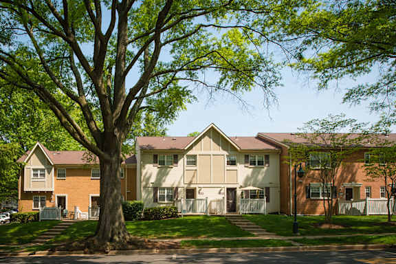 A tree stands in front of apartment buildings at Amberleigh, Virginia