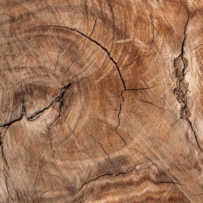 a piece of wood with a knot in it
