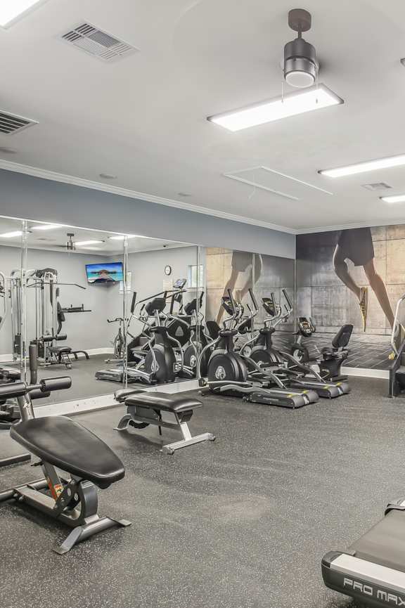 A spacious gym with a variety of equipment including treadmills, stationary bikes, and weight machines.