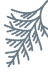 an illustration of a tree branch with snow on it