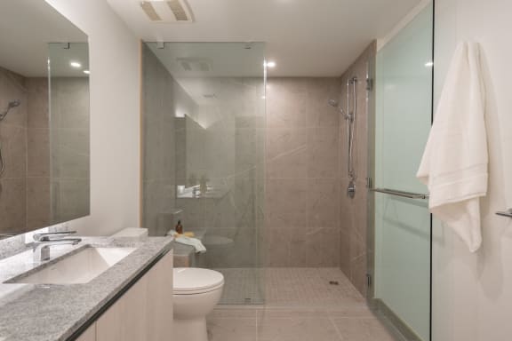 a bathroom with a shower and a sink and a toilet