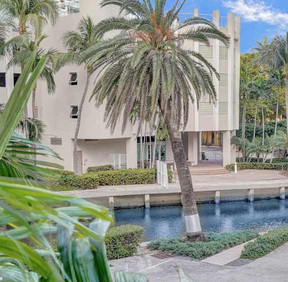 A palm tree stands in front of a white building.