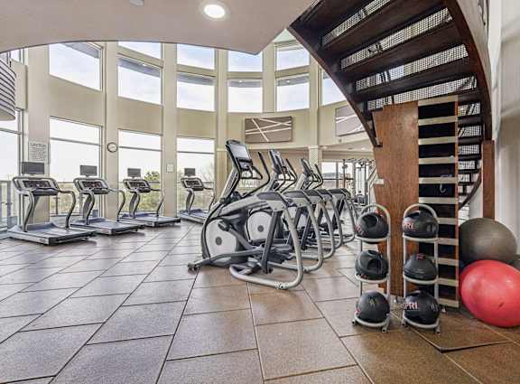 A gym with a row of treadmills, a row of exercise bikes, and a rack of weights.