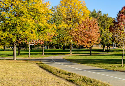 A winding path through a park with trees in autumn colors.