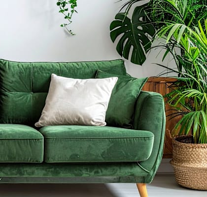 A green couch with two pillows and a plant beside it.