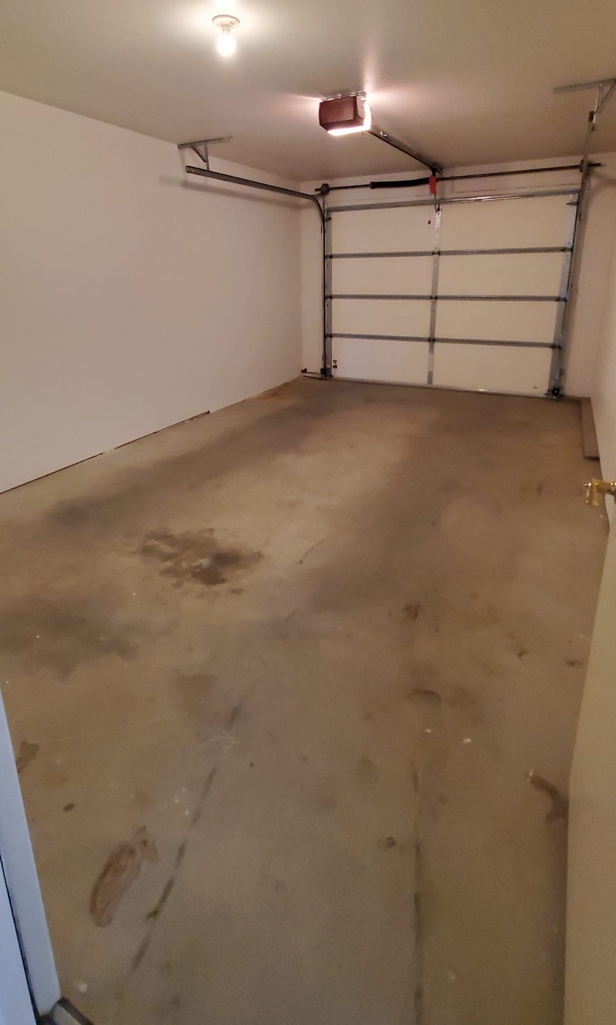 Photos of The Surrey in Powell, WY