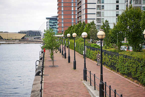A row of street lamps are lined up on a sidewalk next to a body of water.