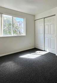 A room with a carpeted floor, a window, and a door.