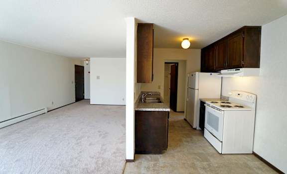 a view of the kitchen and living room of a 560 square foot, 1 bedroom apartment at