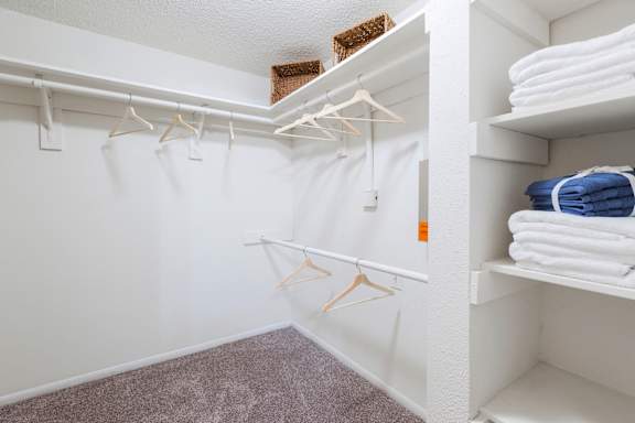 Large Closet at Northgreen at Carrollwood Apartments in Tampa, FL