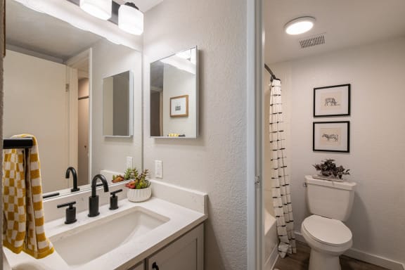 a bathroom with a sink and a toilet and a shower