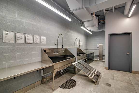 Pet Spa