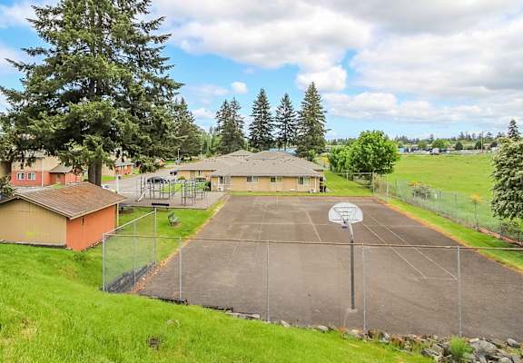 A basketball court is surrounded by a fence and trees.