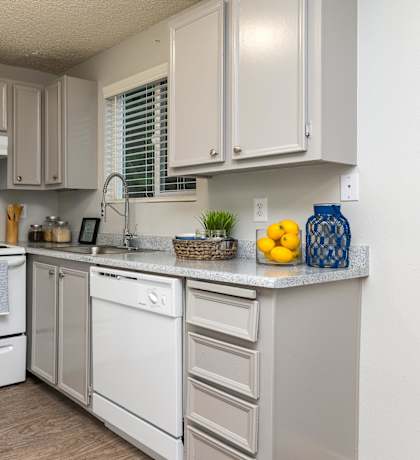 Tamaryn Kitchen
