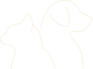 Two outlined animal shapes are shown.