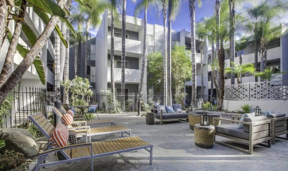 a group of tall palm trees in front of an apartment building at Candlewood North, Northridge, California