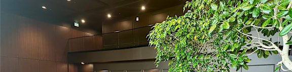 a lobby with couches and chairs and a tree
