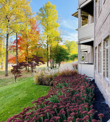 a view of the front yard of a house with colorful trees in the background