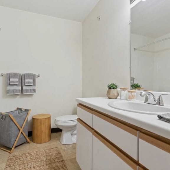 A bathroom with a white sink, toilet, and a brown rug.