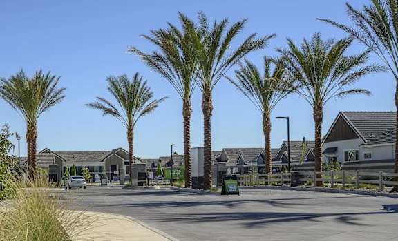 a street with palm trees in a subdivision with houses at Village of Chandler, Arizona, 85249