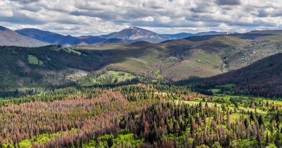 a view of the mountains and trees in the valley  at EAST PARK VILLAS Apartments, HELENA