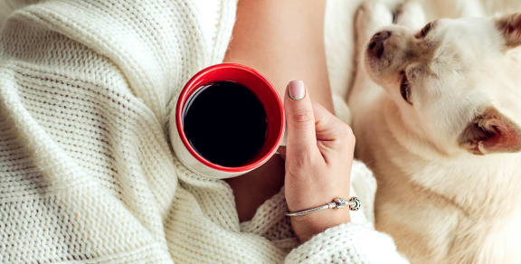 Coffee Mug And a Dog at Durham, Edina, MN